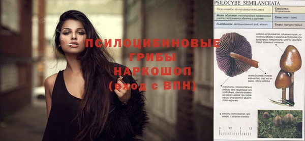 герыч Алзамай