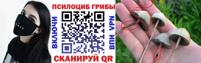 что такое наркотик  Николаевск  Псилоцибиновые грибы мицелий 